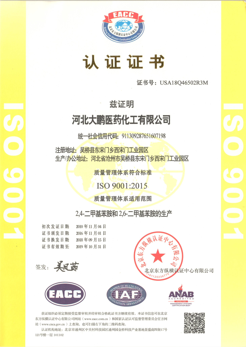 Chinese ISO 9001